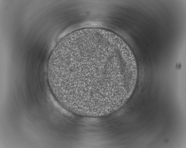 X0000112061382200909151016