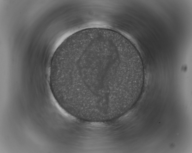 X0000112061383200909151016