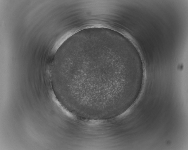 X0000112061385200909151016