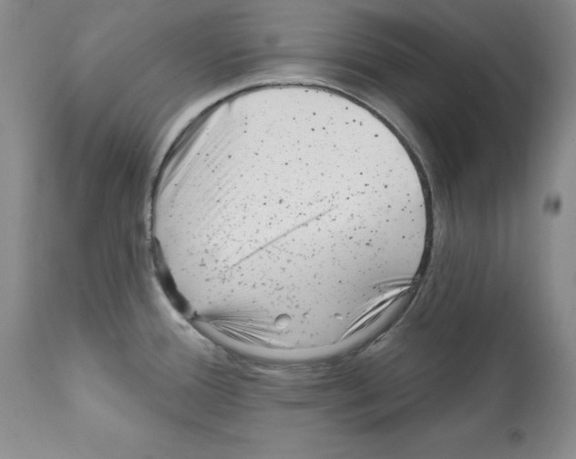 X0000112061388200909151016