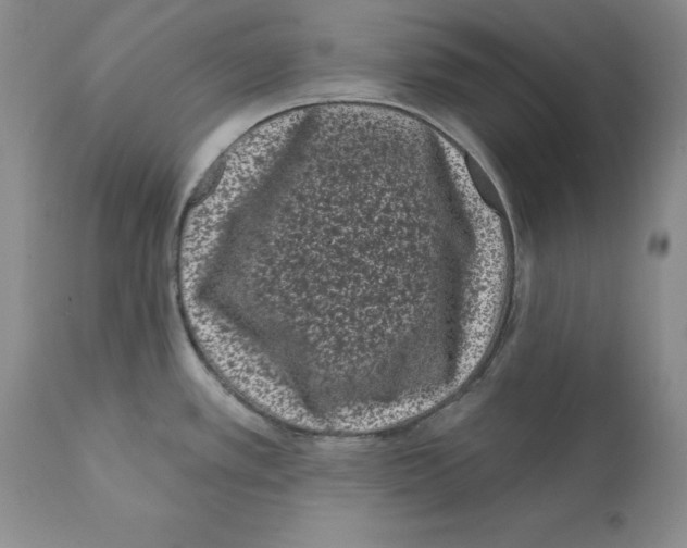 X0000112061389200909151016