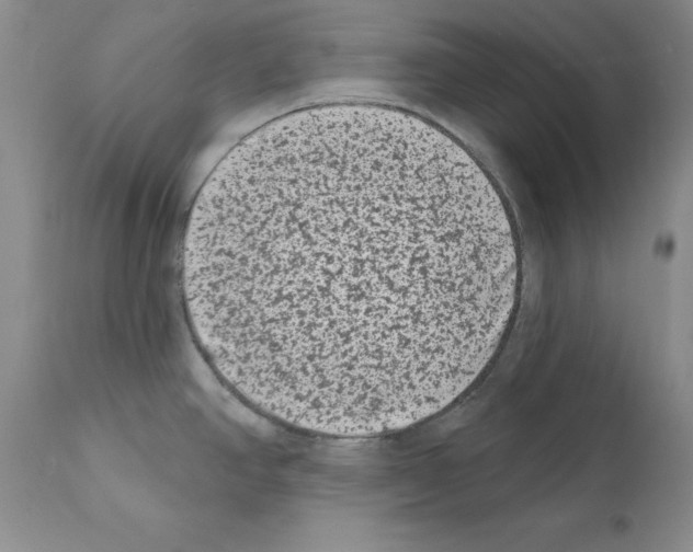 X0000112061390200909151016