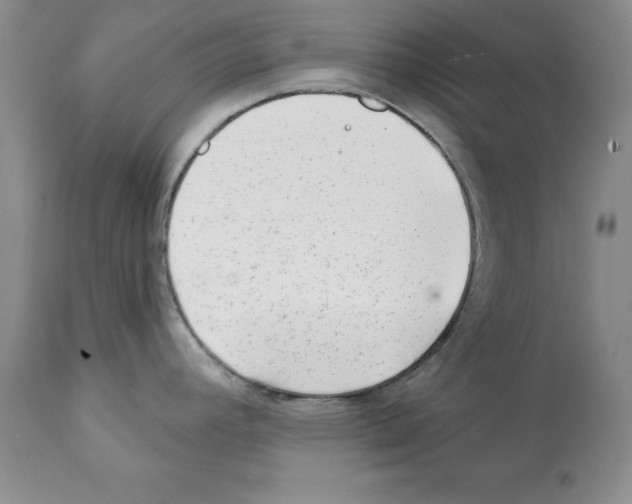 X0000112061392200909151016