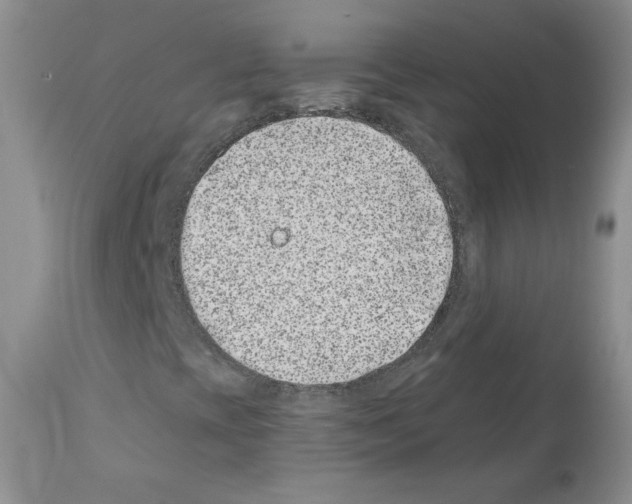 X0000112061393200909151015