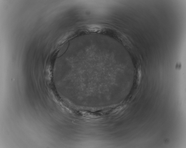 X0000112061394200909151015