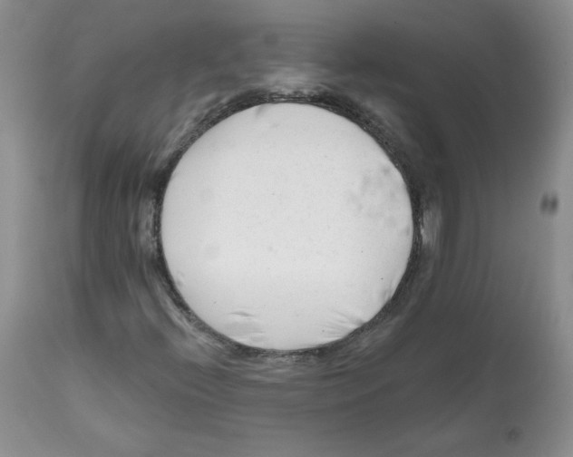 X0000112061396200909151015