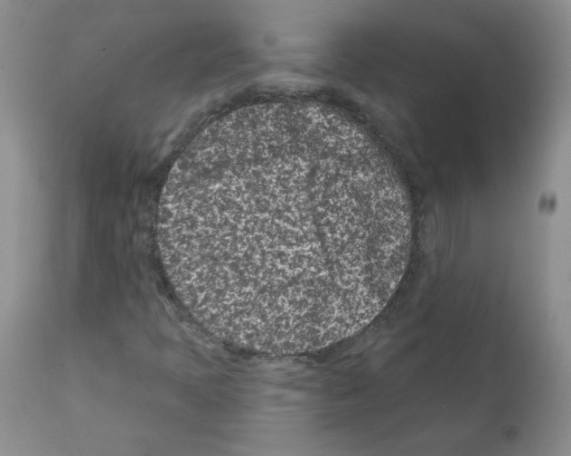 X0000112061397200909151015