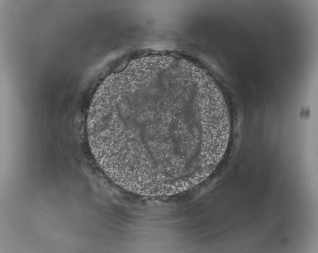 X0000112061398200909151015