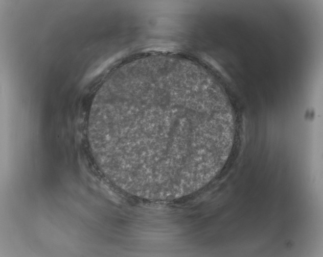 X0000112061399200909151015