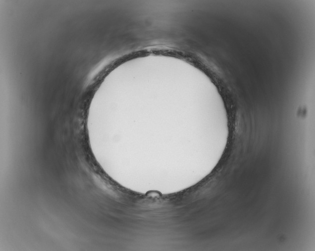 X0000112061400200909151015