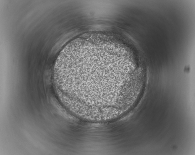X0000112061401200909151015