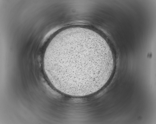 X0000112061402200909151015