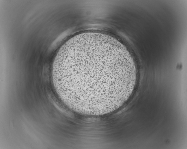 X0000112061403200909151015