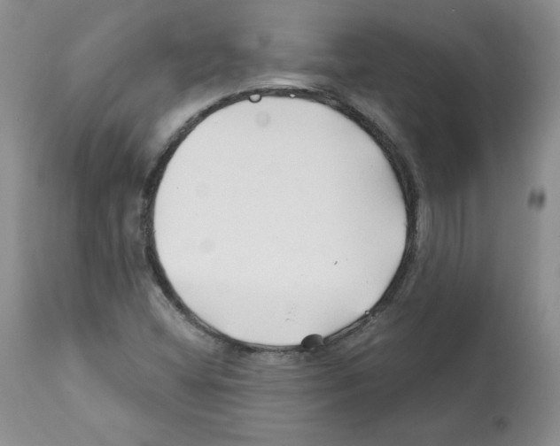 X0000112061404200909151015