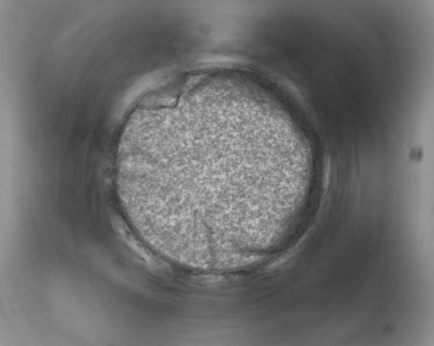 X0000112061405200909151015
