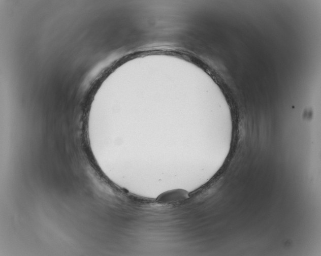 X0000112061406200909151015