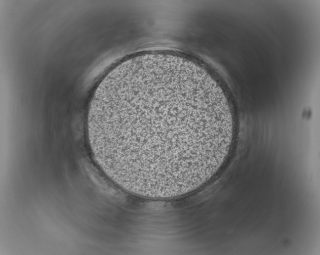 X0000112061407200909151015