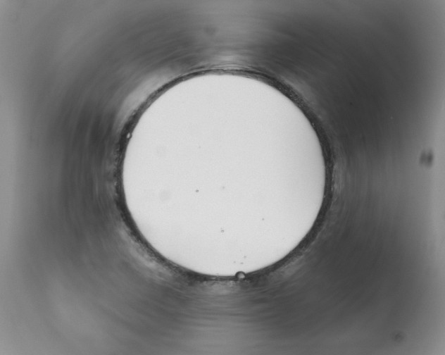 X0000112061410200909151015