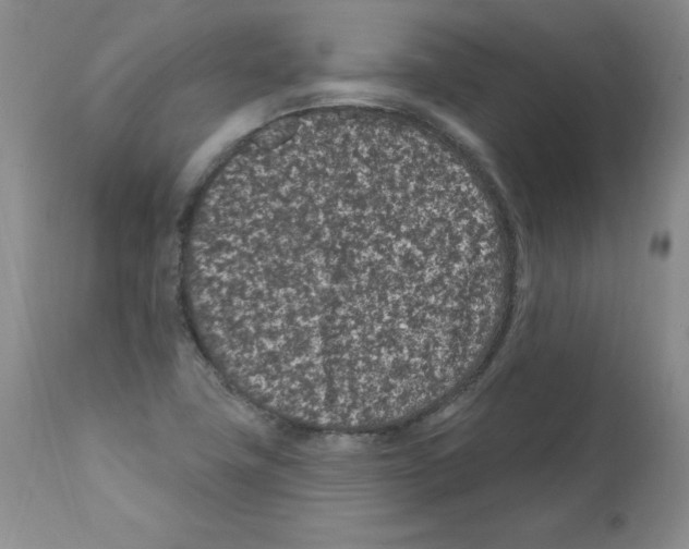 X0000112061411200909151015