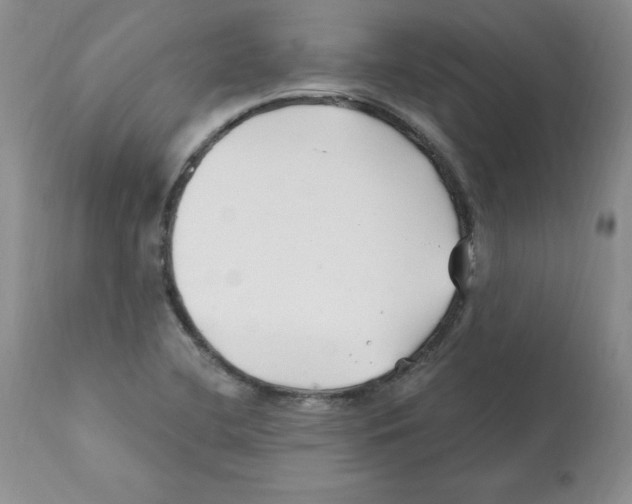X0000112061412200909151015
