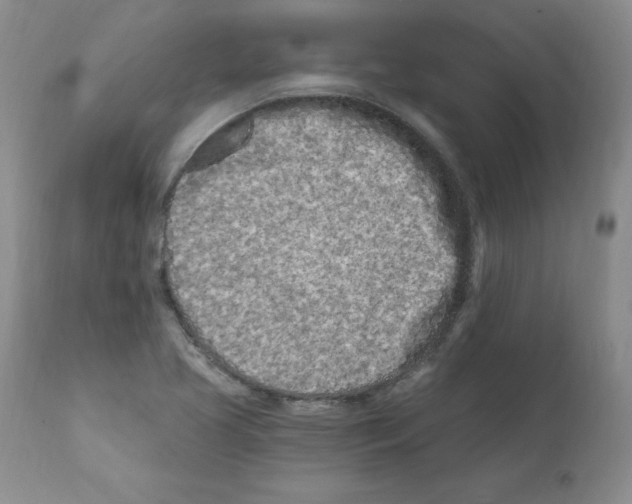 X0000112061413200909151015