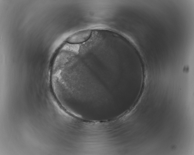 X0000112061414200909151015