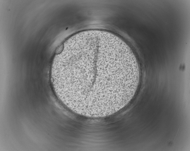 X0000112061415200909151015