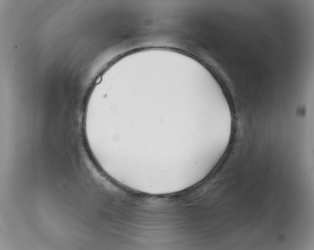 X0000112061416200909151015