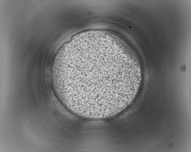 X0000112061417200909151015