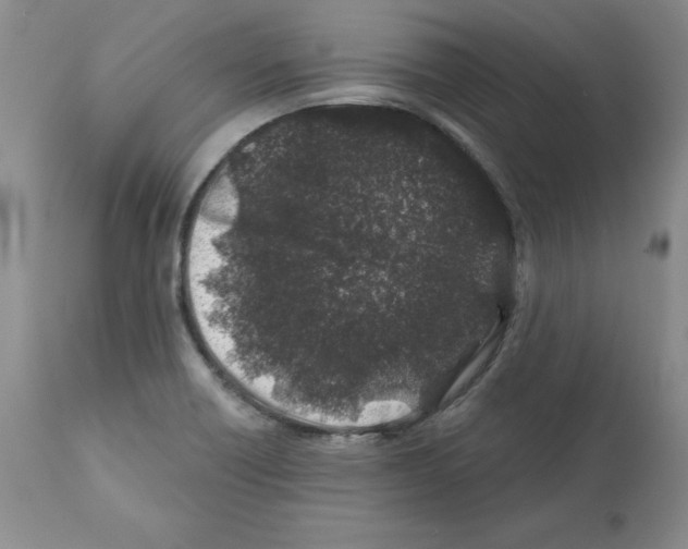 X0000112061418200909151015