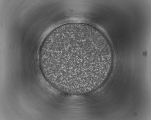 X0000112061419200909151016