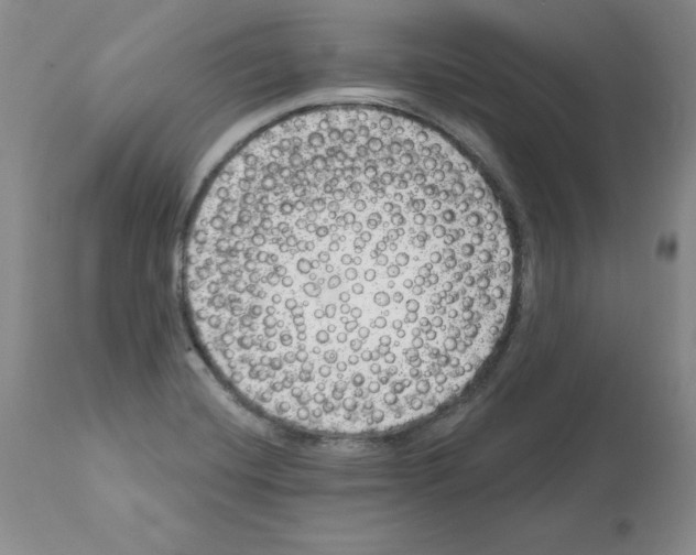 X0000112061420200909151016