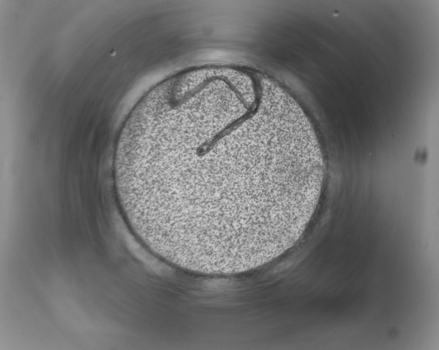 X0000112061421200909151016