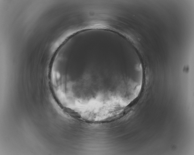 X0000112061422200909151016