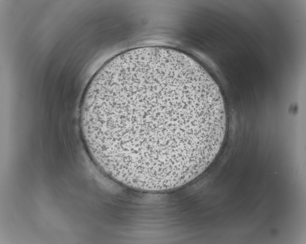 X0000112061423200909151016