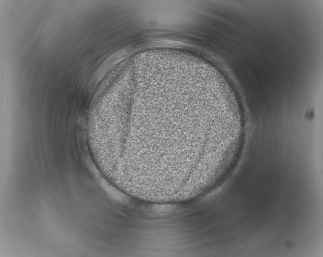 X0000112061425200909151016