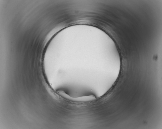 X0000112061426200909151016