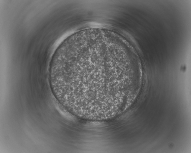 X0000112061427200909151016
