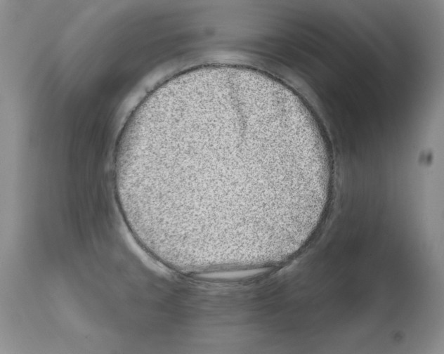 X0000112061429200909151016