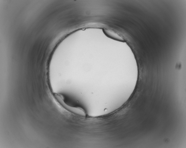X0000112061430200909151016