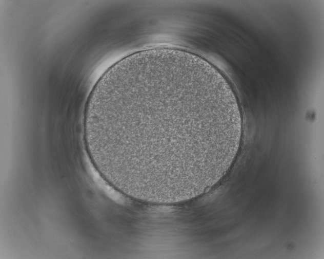 X0000112061431200909151016