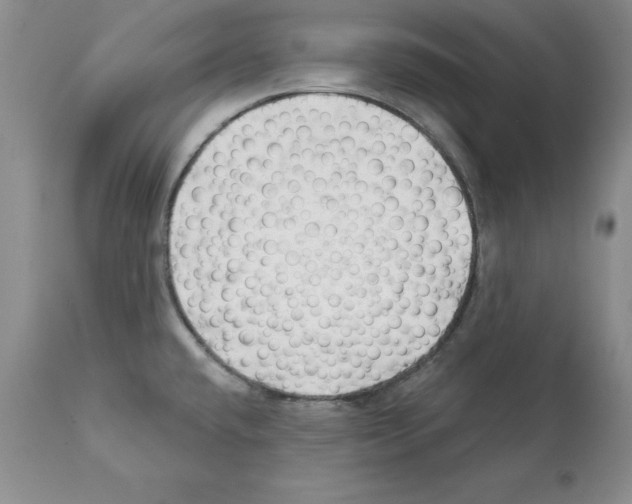 X0000112061432200909151016