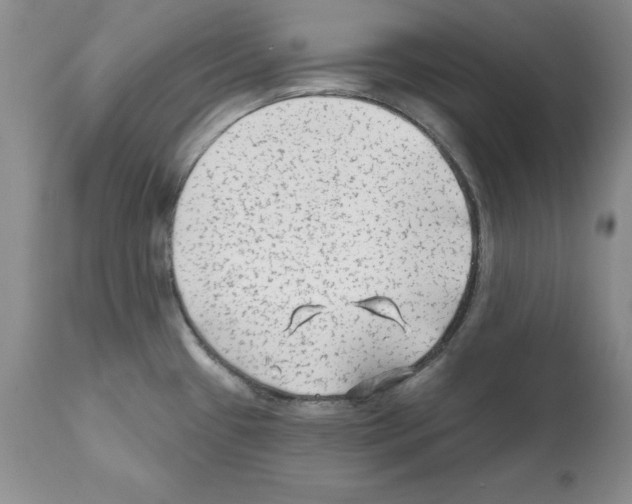 X0000112061433200909151016