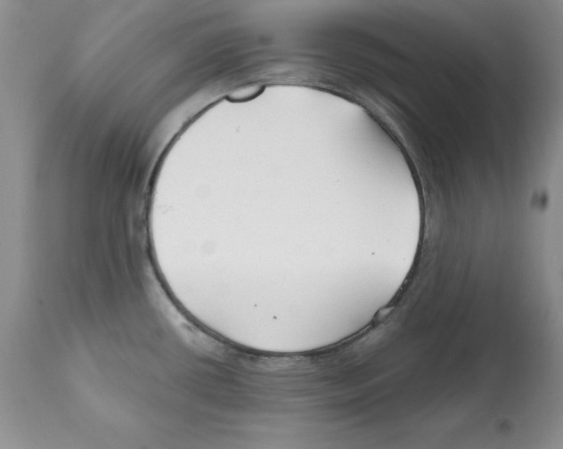 X0000112061434200909151016