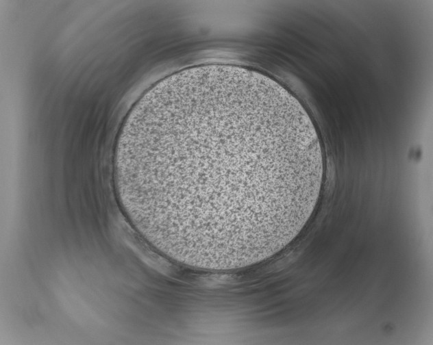 X0000112061435200909151016