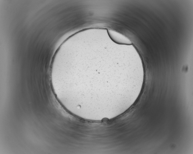 X0000112061436200909151016