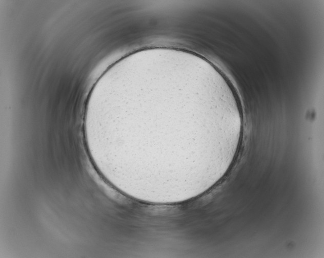 X0000112061437200909151016