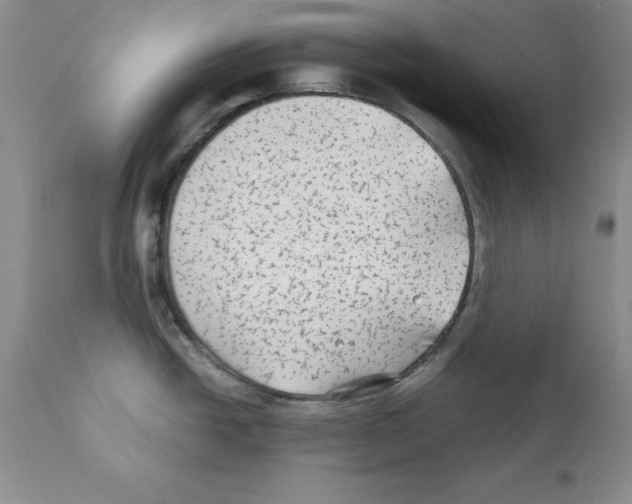 X0000112061438200909151016