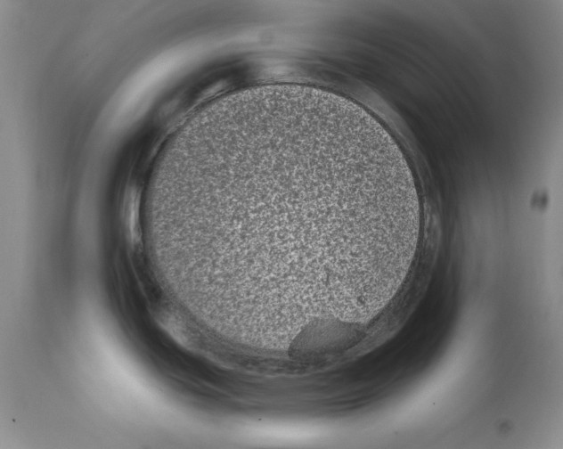 X0000112061439200909151016