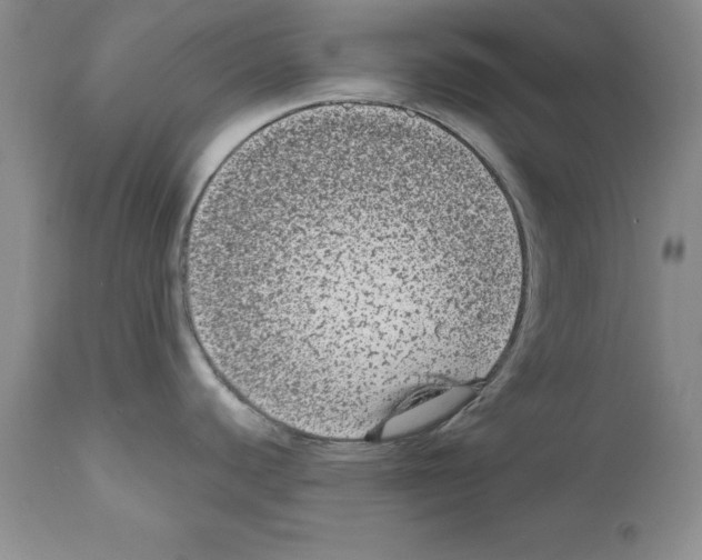 X0000112061440200909151016